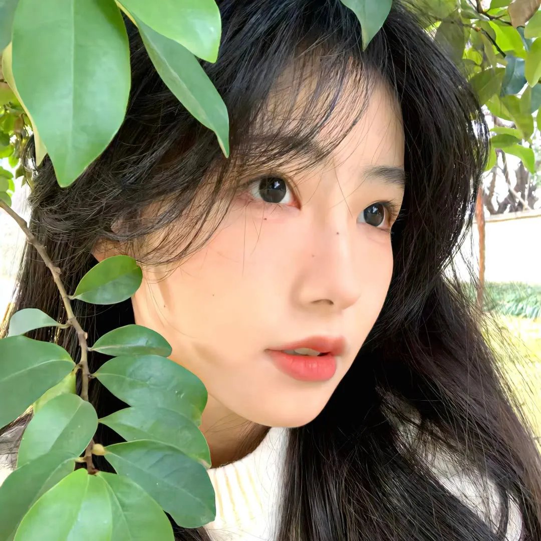 爱的世界